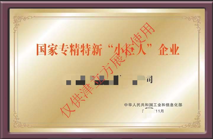 专精特新小巨人(咨询服务)